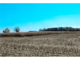 Property photo 3 - LAND AUCTION, 320+/- Acres offered in (2) 160 Acre Tracts